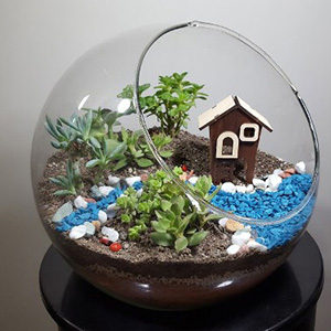 آزمون آشنایی با نحوه ساخت تراریوم